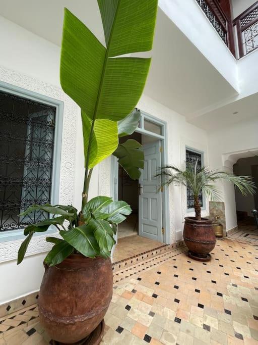 Riad Vivre - Design Boutique Riad In Marrakech Marakeş Dış mekan fotoğraf